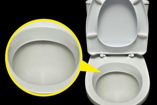 Tại sao bồn cầu toilet luôn có màu trắng dù nó rất dễ bẩn? Lý do phía sau tưởng vô lý, hóa ra lại cực kỳ thuyết phục