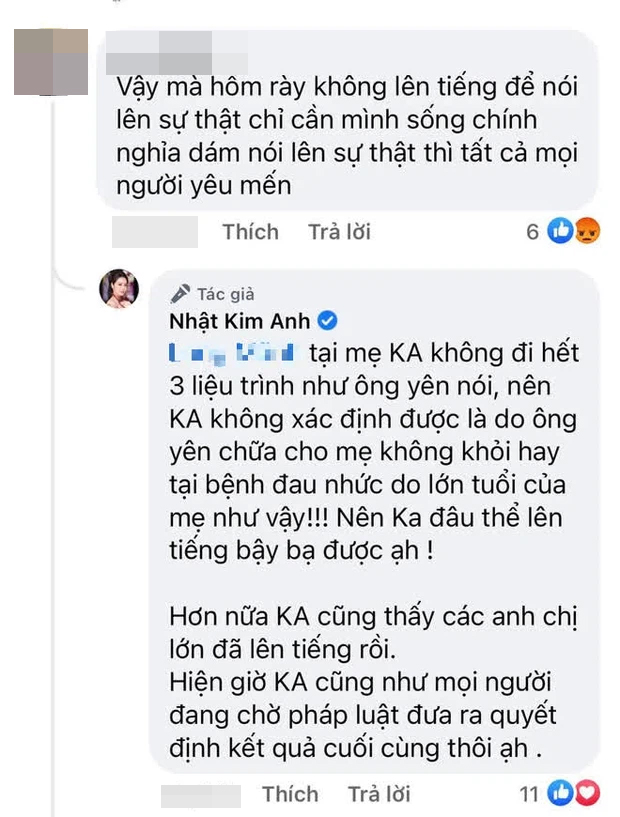 Nhật Kim Anh giải thích lý do không lên tiếng vạch mặt Võ Hoàng Yên dù từng đưa mẹ tới khám-3