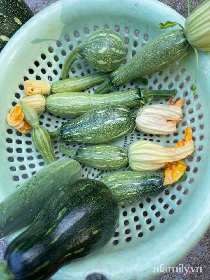 Khu vườn sân thượng chỉ 15m² nhưng quanh năm bội thu rau quả sạch của mẹ đảm ở Lào Cai-22