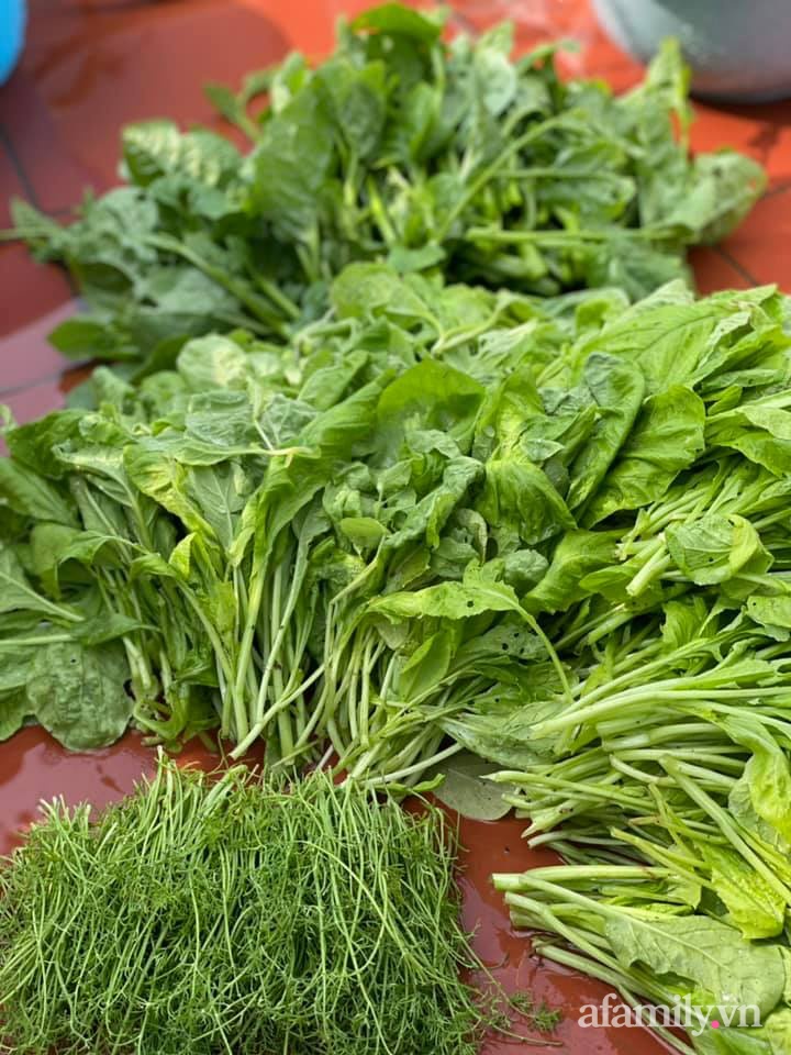 Khu vườn sân thượng chỉ 15m² nhưng quanh năm bội thu rau quả sạch của mẹ đảm ở Lào Cai-28