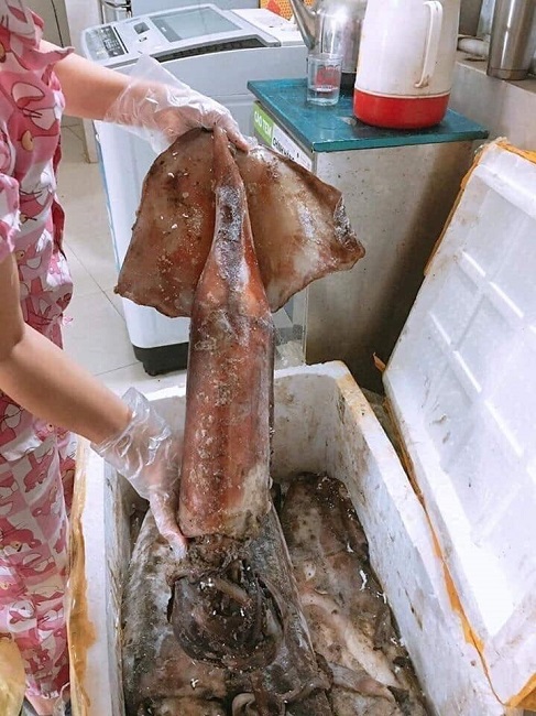 Mực khô siêu to khổng lồ” được chào bán với giá siêu rẻ” thực chất là mực gì?-5