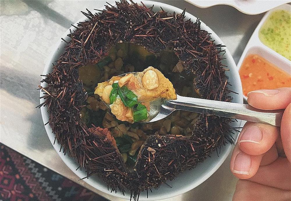 Thứ hải sản gai góc rợn người nhưng lại được xem là nhân sâm biển-2