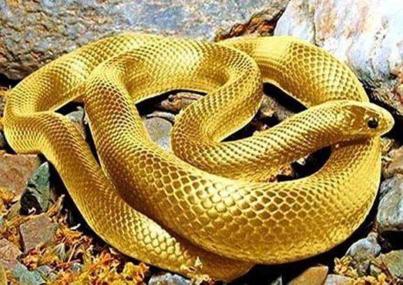 Đúng Rằm tháng 5 âm lịch: 3 con giáp được quý nhân và Thần Tài nâng đỡ, cuộc sống ngày càng thăng hoa-2