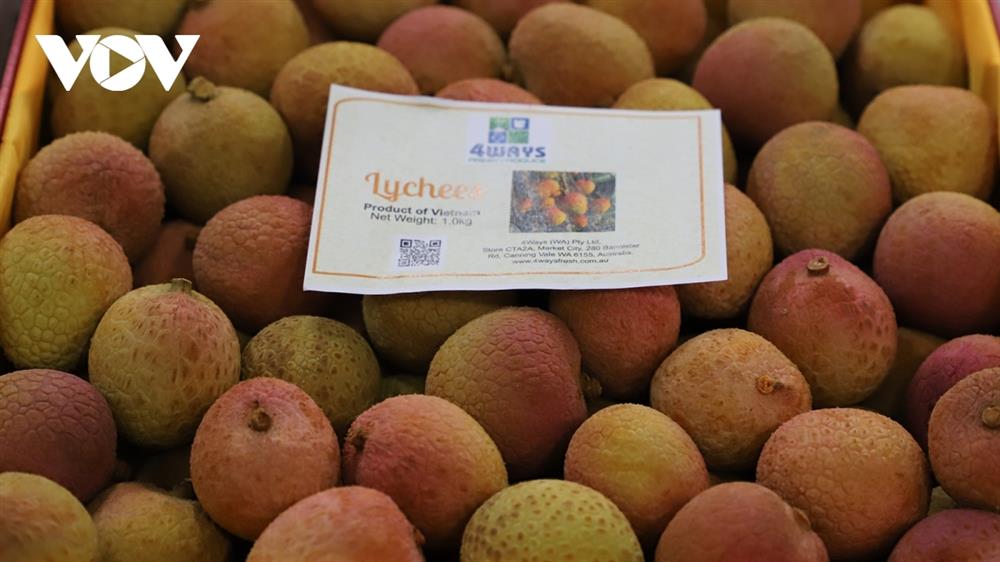 Một hộp vải thiều tươi được trả 52 triệu đồng tại Australia-2