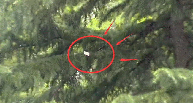 Cơn mưa tiền bất ngờ rơi xuống từ chung cư, dân tình đổ xô nhau đi lượm, gia đình sốc đến ngỡ ngàng khi cảnh sát hỏi thăm-4