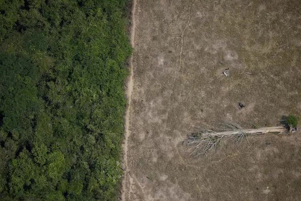 Cảnh báo rùng mình về bệnh X sau đại dịch Covid-19-2