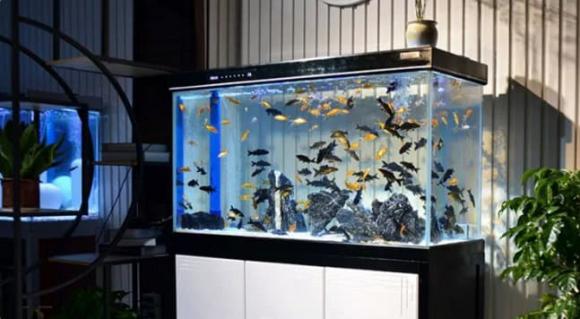 Những cách bố trí phòng khách tiêu hao tài lộc cần hết sức chú ý-2