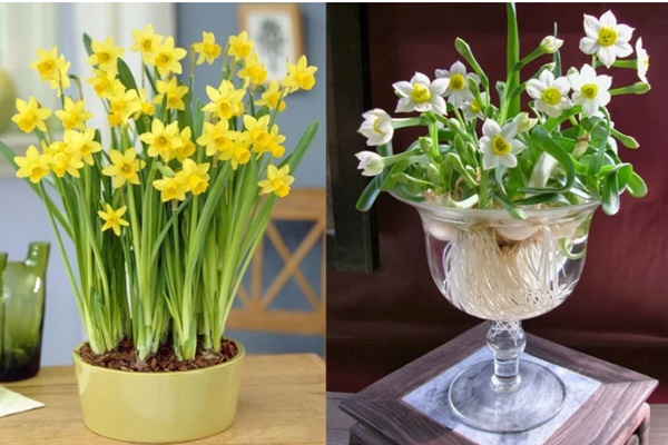 Tường tận cách sắp xếp và chuẩn bị bàn thờ thần Tài chuẩn phong thủy để gia tăng tài lộc, công việc làm ăn lên như diều gặp gió-3