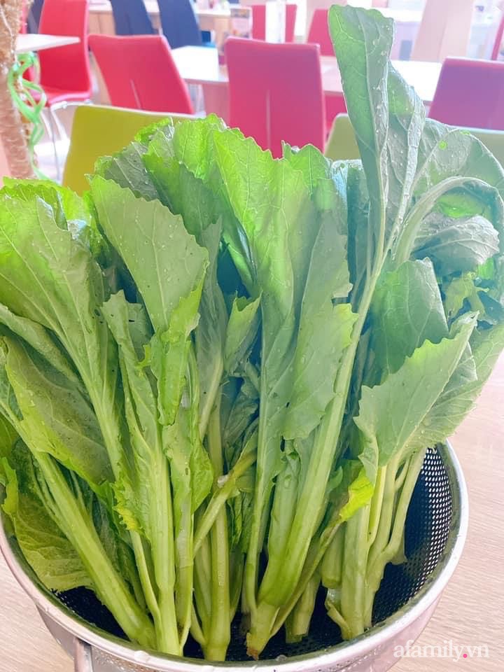 Vườn rau quanh năm tốt tươi với đủ loại rau quả của mẹ Việt-11