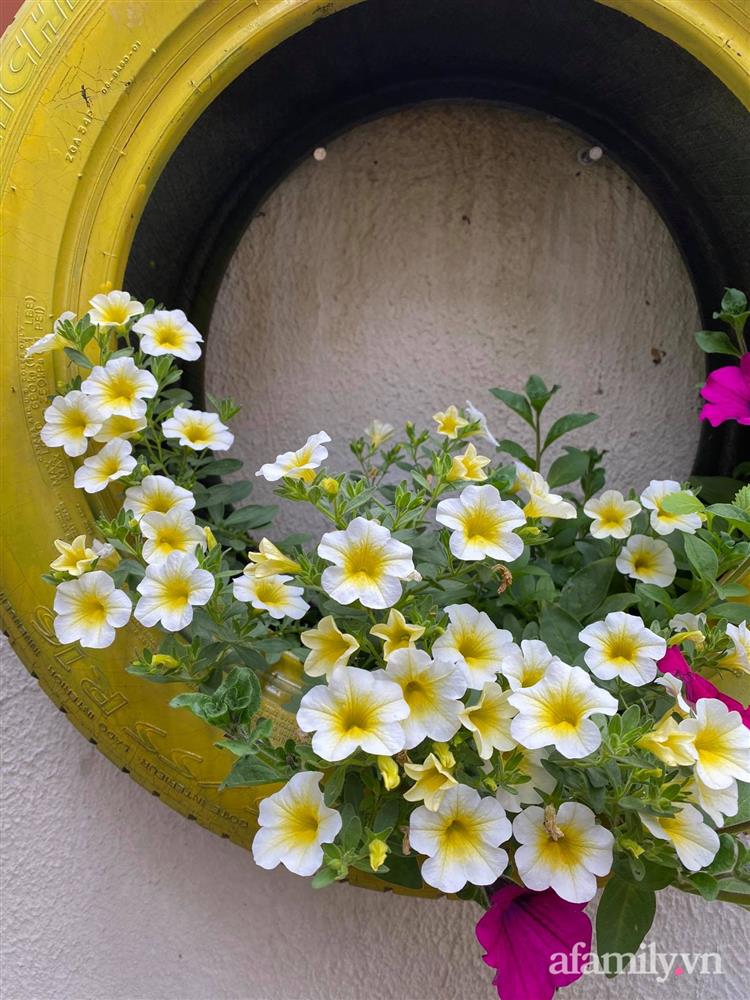 Vườn rau quanh năm tốt tươi với đủ loại rau quả của mẹ Việt-20