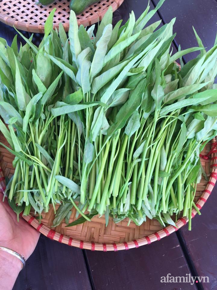 Vườn rau quanh năm tốt tươi với đủ loại rau quả của mẹ Việt-31