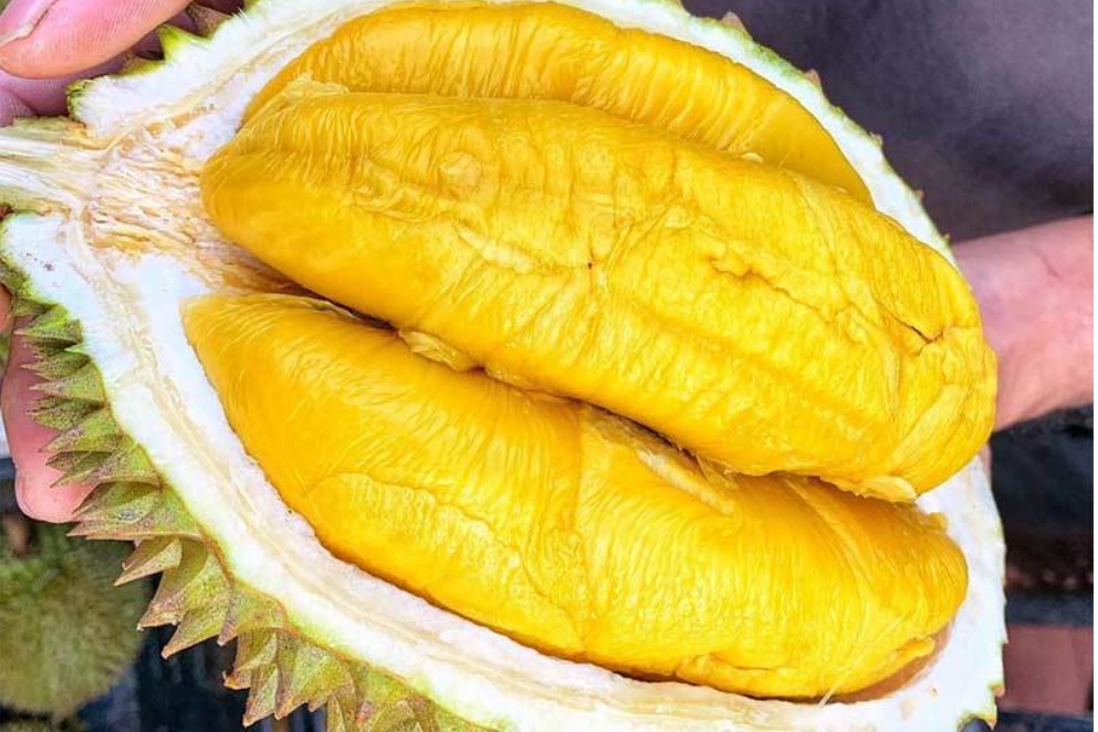 8 loại trái cây thuần Việt, không bao giờ nhập từ Trung Quốc, bà nội trợ yên tâm mua cho gia đình-1