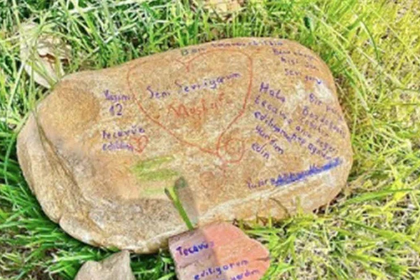Hòn đá khắc chữ ở công viên giúp cảnh sát vạch trần tội ác của gã hàng xóm cưỡng hiếp bé gái 12 tuổi suốt 7 năm trời-1