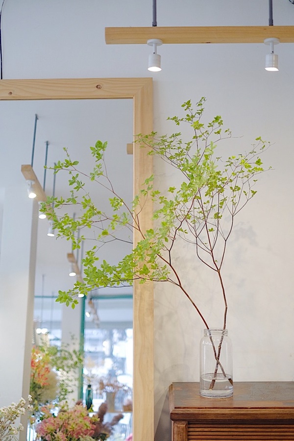 Dân Hà thành rộ mốt mua cành cây toàn lá, giá cả triệu đồng về cắm chơi-1