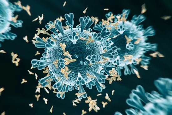 Virus Delta ra đòn 