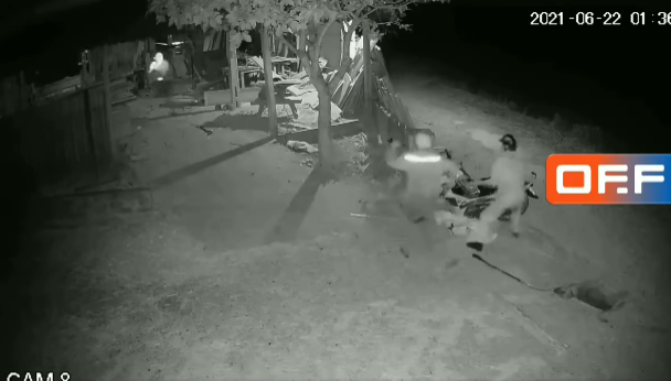 Trộm chó trong đêm bị chủ nhà bắt quả tang, 2 cẩu tặc không bỏ chạy mà quay ra tấn công khiến ai cũng bàng hoàng-1