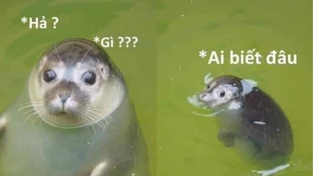 Ảnh cũ của Đoàn Văn Hậu lại bị lên thớt: Chân để chơi bóng chứ không chạy theo người phụ nữ không quan tâm tới tôi-3