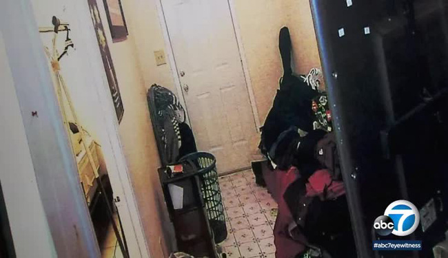 Bé trai bị mẹ nhốt trong tủ đồ 3 năm đến chết trong tình trạng thân tàn ma dại gây ám ảnh, tội ác được bố dượng phanh phui-4