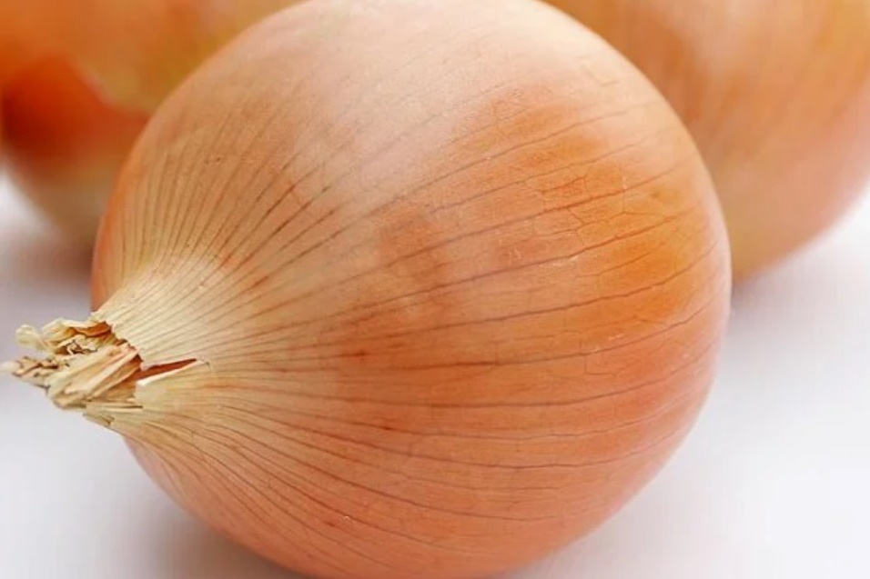 5 thứ gián rất sợ: Đặt gần ổ của chúng, đảm bảo chẳng còn con nào dám bén mảng-1