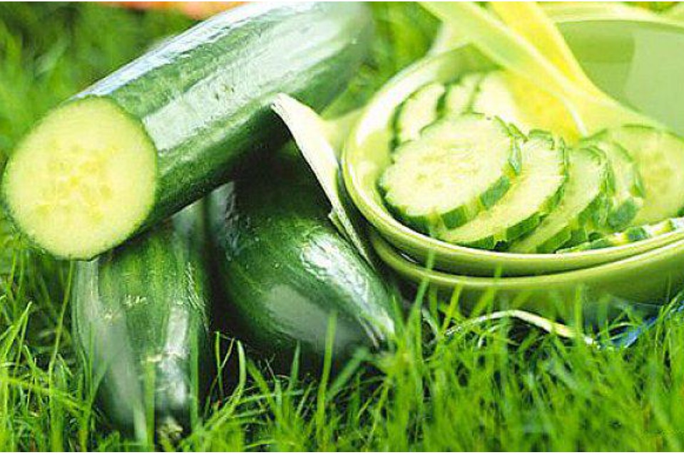 5 thứ gián rất sợ: Đặt gần ổ của chúng, đảm bảo chẳng còn con nào dám bén mảng-2