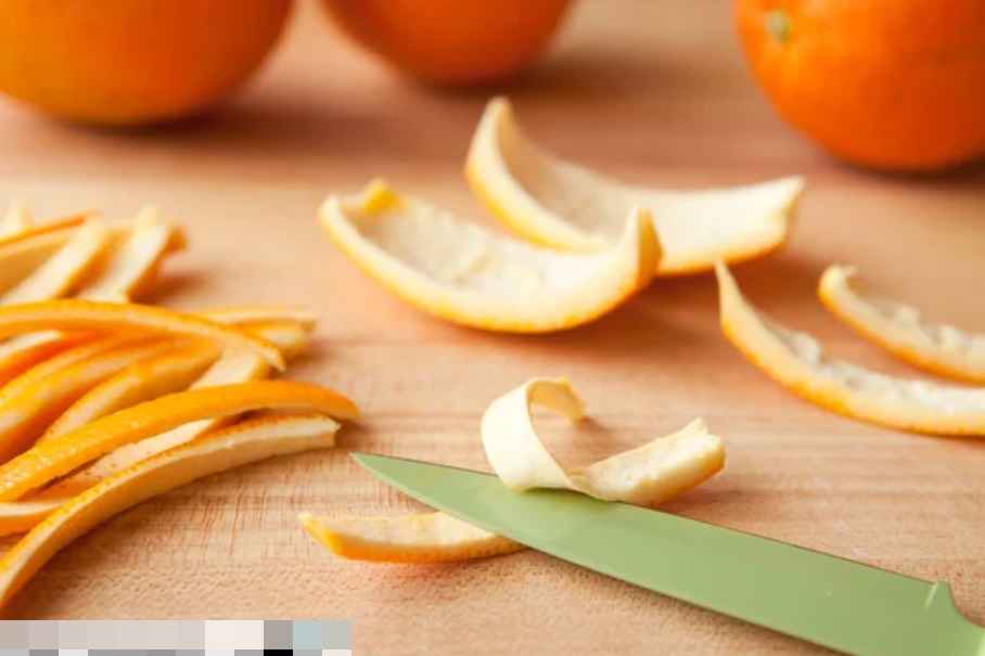 5 thứ gián rất sợ: Đặt gần ổ của chúng, đảm bảo chẳng còn con nào dám bén mảng-3