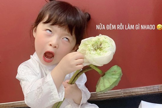 Háo hức rủ cháu gái 3 tuổi chụp ảnh cùng hoa sen, bác gái dở khóc dở cười với cái kết hài 