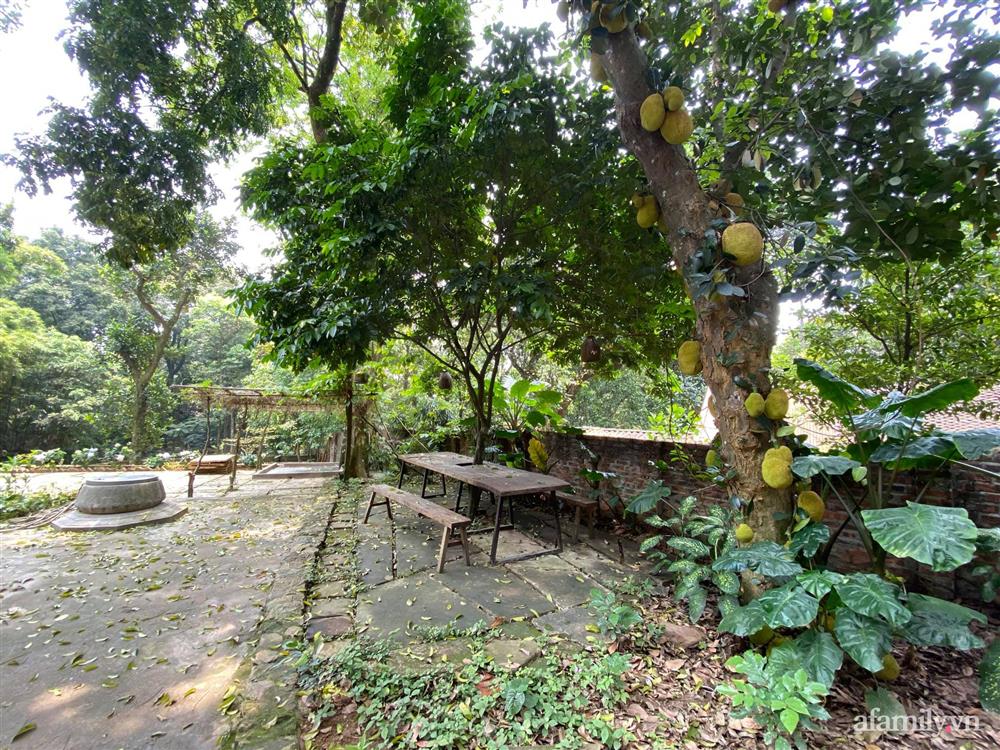 Cuộc sống yên bình trong ngôi nhà nhỏ và khu vườn xanh mát bóng cây ở ngoại thành Hà Nội-14