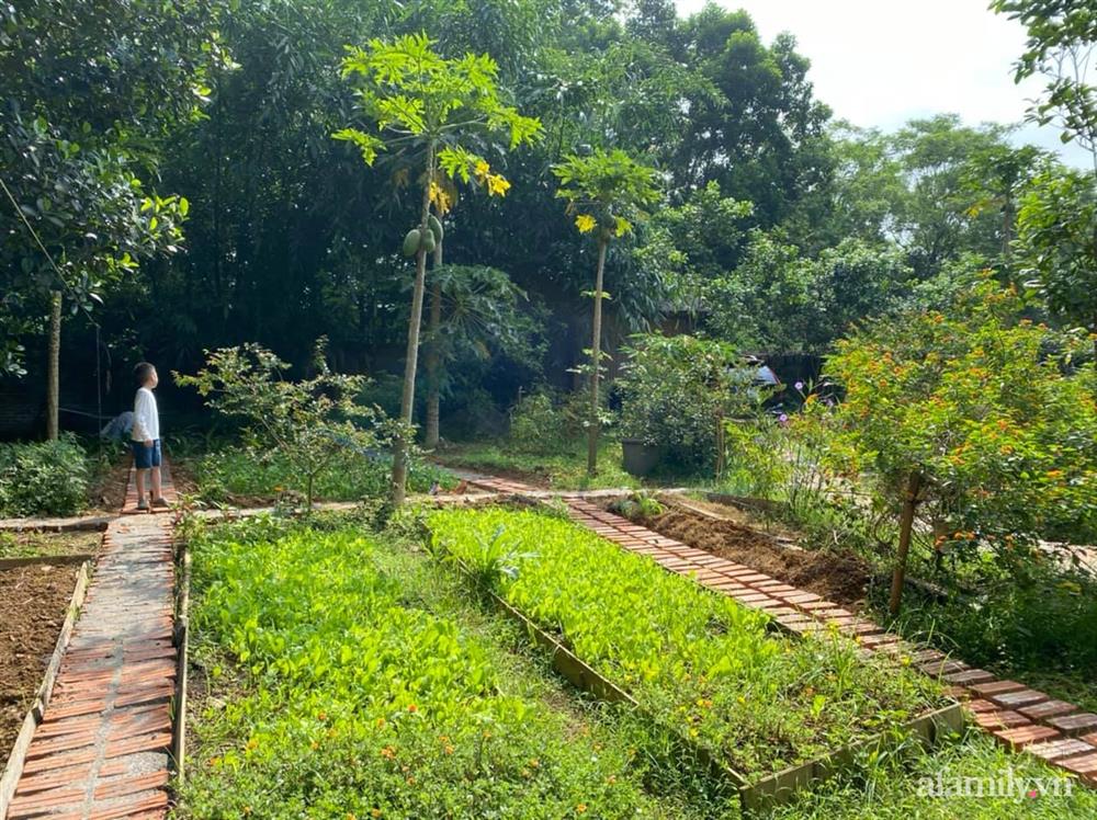 Cuộc sống yên bình trong ngôi nhà nhỏ và khu vườn xanh mát bóng cây ở ngoại thành Hà Nội-23