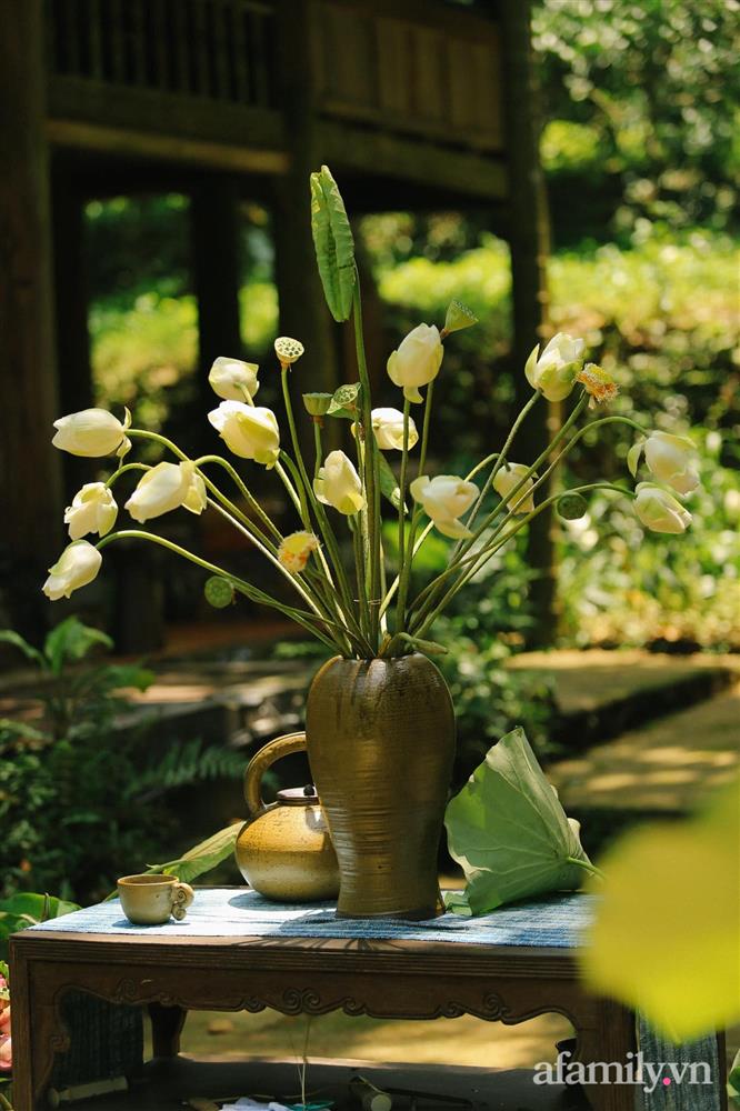 Cuộc sống yên bình trong ngôi nhà nhỏ và khu vườn xanh mát bóng cây ở ngoại thành Hà Nội-27