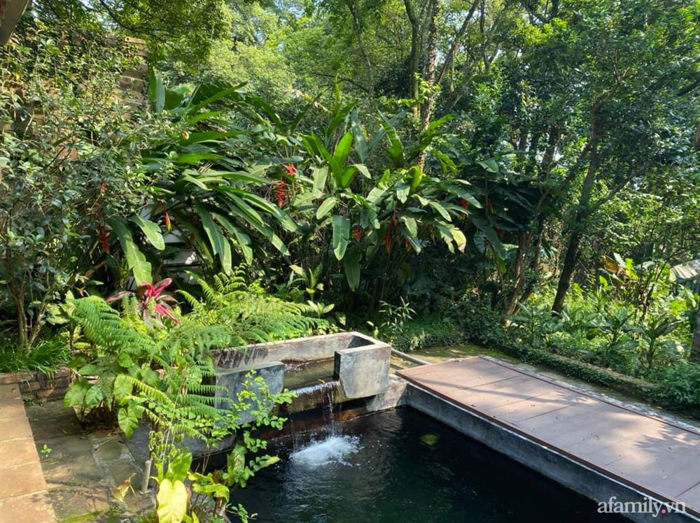 Cuộc sống yên bình trong ngôi nhà nhỏ và khu vườn xanh mát bóng cây ở ngoại thành Hà Nội-43