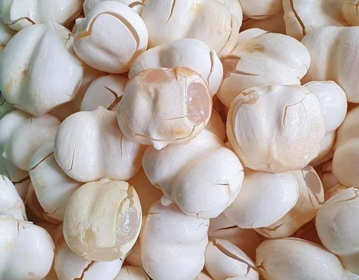 Thốt nốt vào mùa, mỗi ngày chốt đơn hơn tạ cho chị em nấu chè-1