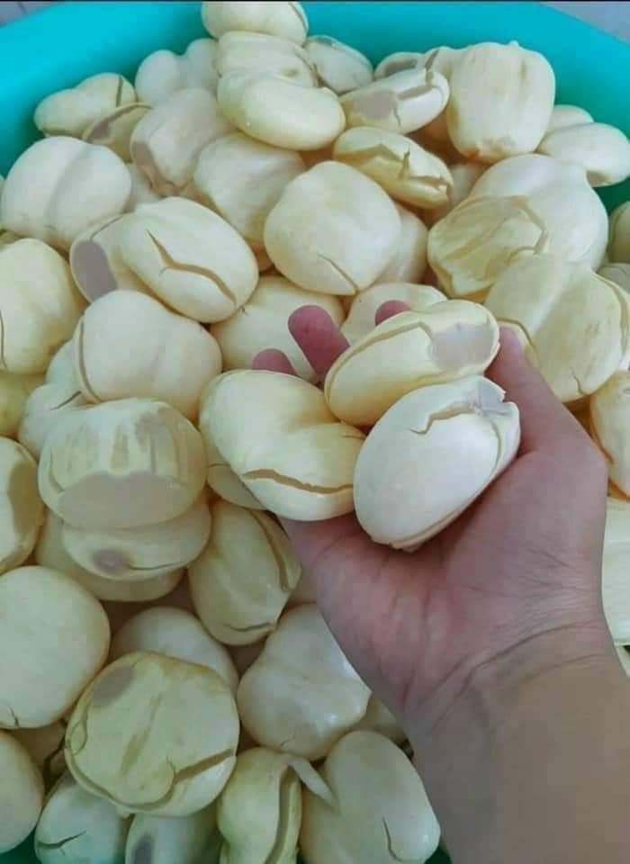 Thốt nốt vào mùa, mỗi ngày chốt đơn hơn tạ cho chị em nấu chè-3