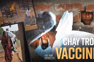 Ấn Độ và những kẻ chạy trốn vaccine: Cơn bão dịch bệnh thứ 3 đang đến gần, nhưng thà chết còn hơn