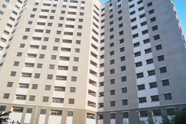 Trong khi nhà Hà Nội vẫn là giấc mơ của nhiều người, có chung cư đã hoàn thiện hàng chục năm lại bỏ hoang không ai ở, sân chơi làm chỗ nuôi vịt-4