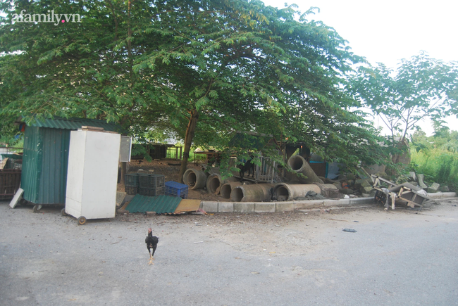 Trong khi nhà Hà Nội vẫn là giấc mơ của nhiều người, có chung cư đã hoàn thiện hàng chục năm lại bỏ hoang không ai ở, sân chơi làm chỗ nuôi vịt-8