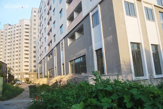 Trong khi nhà Hà Nội vẫn là giấc mơ của nhiều người, có chung cư đã hoàn thiện hàng chục năm lại bỏ hoang không ai ở, sân chơi làm chỗ nuôi vịt