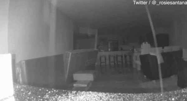 Khoảnh khắc cuối cùng trước khi tòa nhà 12 tầng đổ sập ở Miami khiến cả nước Mỹ bàng hoàng-1