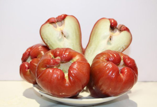 Ngạc nhiên chưa - thực đơn cơm tối 60k mà 5 món ngon lành ai cũng nấu được-5