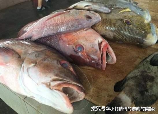 Mua cá, nếu gặp 5 loại cá này cần quay lưng bỏ đi ngay-3