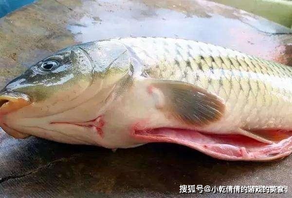 Mua cá, nếu gặp 5 loại cá này cần quay lưng bỏ đi ngay-5