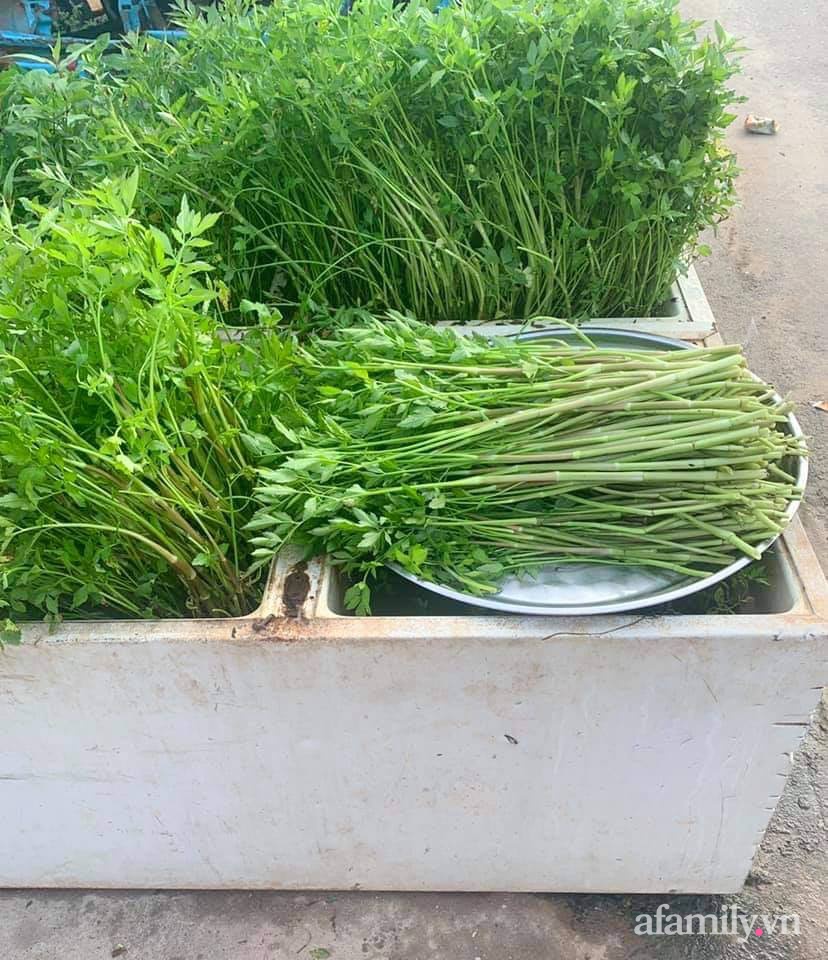 Khu vườn trước cửa xanh mát với đủ loại rau củ của chàng trai Việt ở châu Phi-9