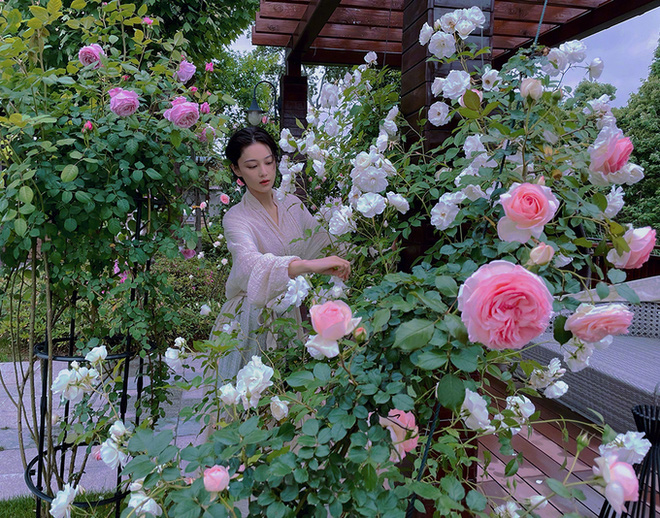 Lý Mạc Sầu đẹp nhất màn ảnh: Gái hư showbiz lột xác ngoạn mục, thành vợ hiền của sĩ quan đặc công-13