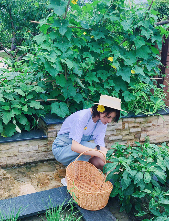 Lý Mạc Sầu đẹp nhất màn ảnh: Gái hư showbiz lột xác ngoạn mục, thành vợ hiền của sĩ quan đặc công-15