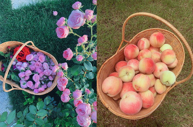 Lý Mạc Sầu đẹp nhất màn ảnh: Gái hư showbiz lột xác ngoạn mục, thành vợ hiền của sĩ quan đặc công-16