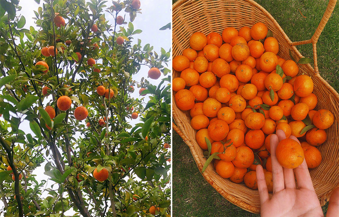 Lý Mạc Sầu đẹp nhất màn ảnh: Gái hư showbiz lột xác ngoạn mục, thành vợ hiền của sĩ quan đặc công-17