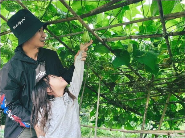 Tránh dịch, vợ chồng Lý Hải - Minh Hà lên Đà Lạt thu hoạch rau củ, nhìn nông trại xanh mướt mà ai cũng mê-9