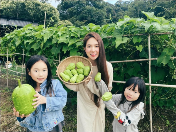 Tránh dịch, vợ chồng Lý Hải - Minh Hà lên Đà Lạt thu hoạch rau củ, nhìn nông trại xanh mướt mà ai cũng mê-2