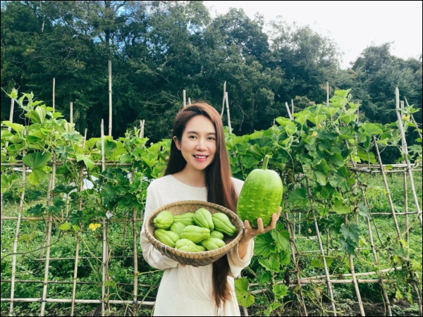 Tránh dịch, vợ chồng Lý Hải - Minh Hà lên Đà Lạt thu hoạch rau củ, nhìn nông trại xanh mướt mà ai cũng mê-5