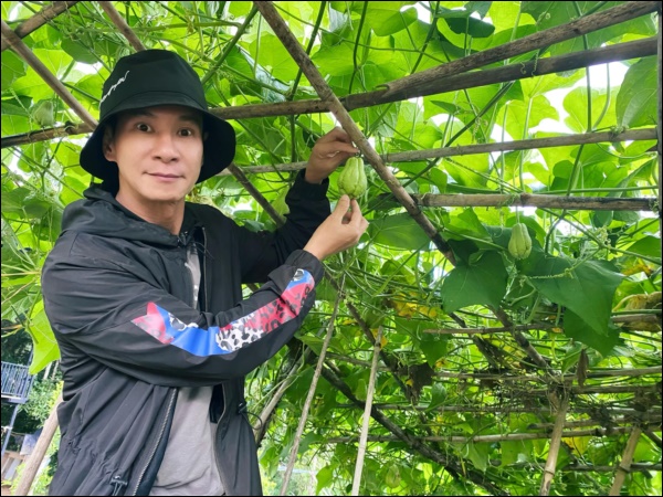 Tránh dịch, vợ chồng Lý Hải - Minh Hà lên Đà Lạt thu hoạch rau củ, nhìn nông trại xanh mướt mà ai cũng mê-8