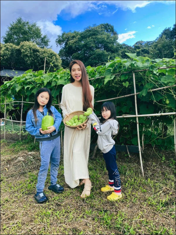Tránh dịch, vợ chồng Lý Hải - Minh Hà lên Đà Lạt thu hoạch rau củ, nhìn nông trại xanh mướt mà ai cũng mê-1